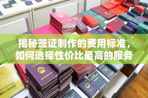 富阳揭秘签证制作的费用标准，如何选择性价比最高的服务？